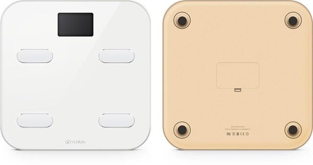 Smart Digital Body Fat Weight Scale