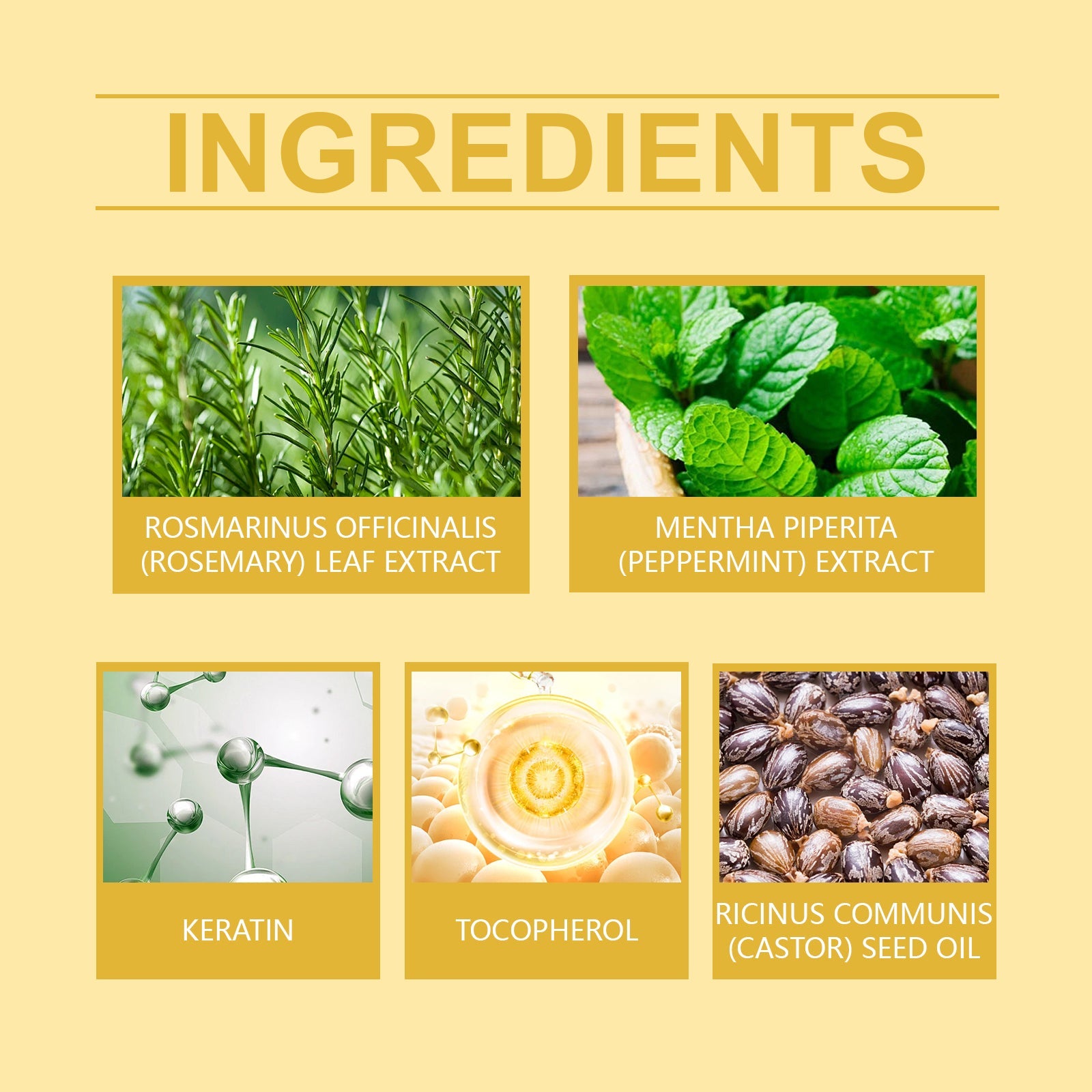 Rosemary Mint Hair Care Oil Hydrating Nourishing Treatment