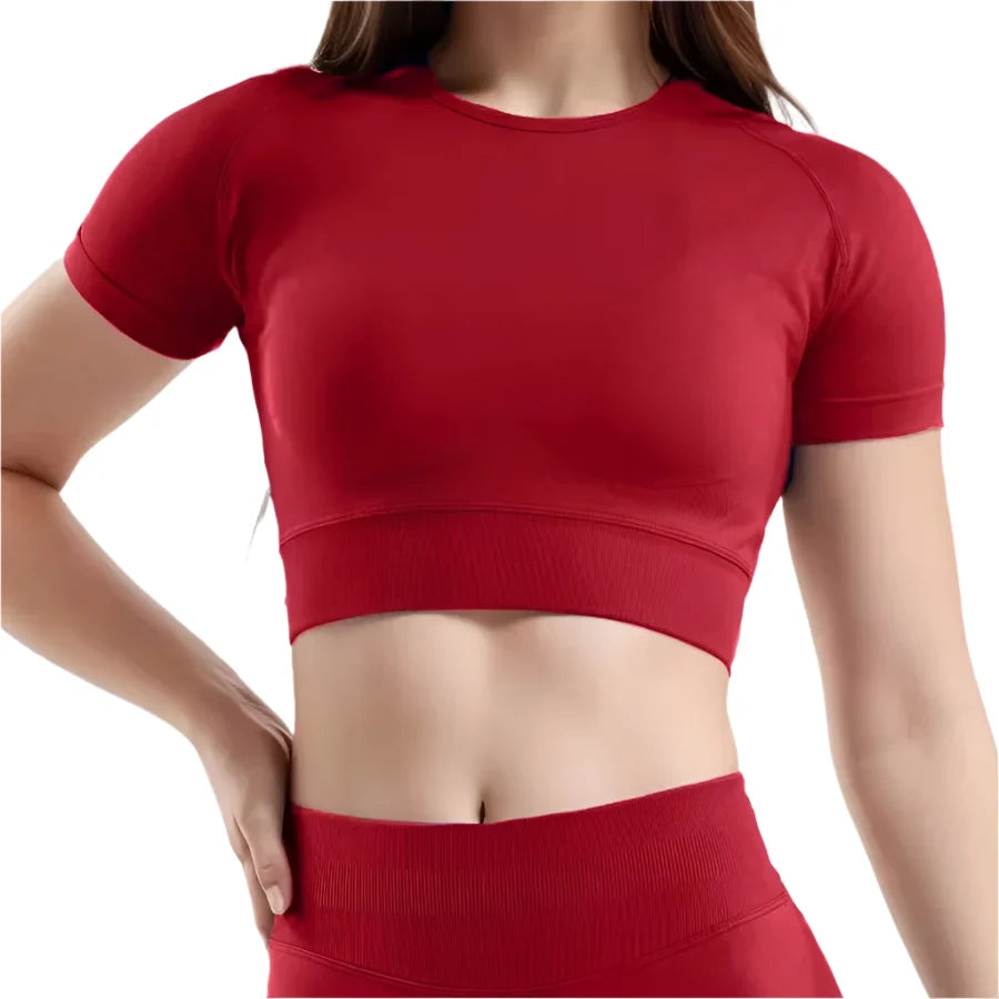 Women's 2 Piece Yoga Outfit Fitness Apparel Set