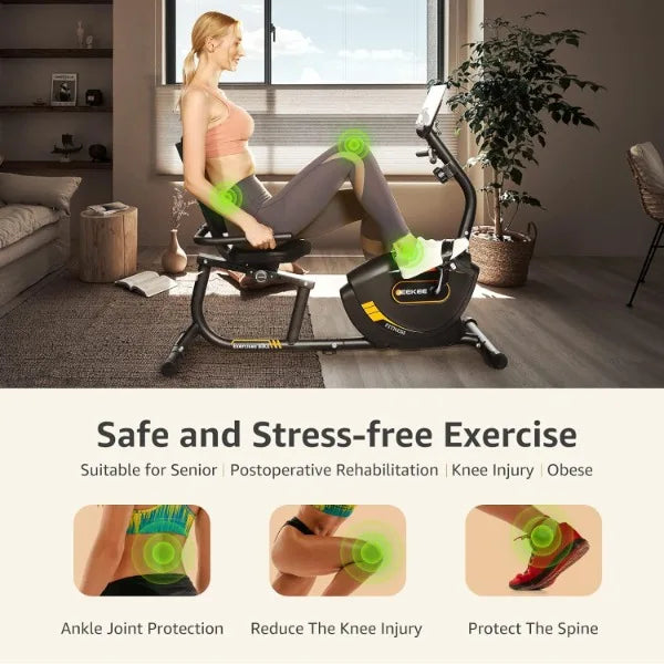 Recumbent Exercise Bike Magnetic Indoor Home Fitness Trainer