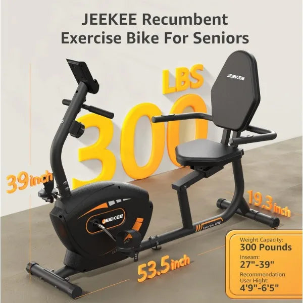 Recumbent Exercise Bike Magnetic Indoor Home Fitness Trainer